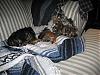 First Rainy Day-sleeping-008.jpg