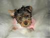 Please take a peek at me...I'm a big girl now!-j112906-4-600-x-450-.jpg