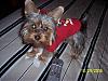 My baby is 6 months old!!-pepper-red-sweater-r.jpg