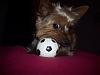 Simon and the Soccer Ball-100_4328.jpg