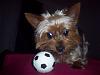 Simon and the Soccer Ball-100_4329.jpg