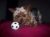 Simon and the Soccer Ball-100_4354.jpg