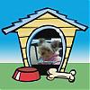 Chloe Coco-chloe-her-dog-house.jpg