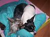 Sleepy little Lillian and her best friend Minnie-100_1101.jpg