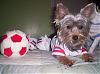 Lillian would like to try out for the YT soccer team.-1.jpg