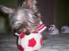 Lillian would like to try out for the YT soccer team.-2.jpg