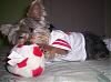 Lillian would like to try out for the YT soccer team.-3.jpg