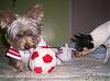 Lillian would like to try out for the YT soccer team.-4.jpg