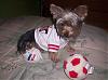 Lillian would like to try out for the YT soccer team.-7.jpg