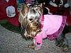 back from Walmart~-dolly1207-008.jpg