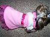 back from Walmart~-dolly1207-012.jpg