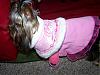 back from Walmart~-dolly1207-010.jpg