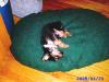 Do you think she is comfy??-more-preslee-002-676-x-507-.jpg