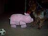 Simon vs. The Evil Christmas Piggy-100_4565.jpg