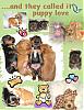 Went to see the Puppies!-puppylove.jpg