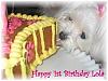 Our Lola's 1st Birthday ! pics-lolacake1stbday.jpg