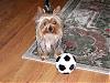 Jo-Jo and the soccer ball-soccerball2.jpg