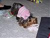 Christmas Morning Pics-100_1078.jpg