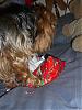 Christmas morning Pics !!-cimg4168.jpg