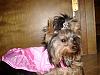 Princess Gracie Lou!-gracie-049-600-x-450-.jpg