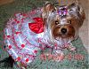 More Pics Of My Yorkie!-share1year4monthprincessdress.jpg