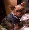 My Yorkie - Kokoroo-kokos-sweater-559-x-571-.jpg