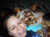 Do Yorkies Smile??-pc180041.jpg