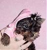 Jewelina wants to hit the runway :)-jewelinainhoodie.jpeg