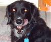 Let's see your tongue pictures!-luke-tongue.jpg