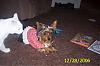 here are some pictures og Gracie-100_1557.jpg