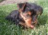 New Pics Of Nugget-nuggetinjune02.jpg