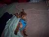 Simon's Lazy Sunday-100_4799.jpg