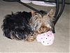 Pictures-spencer-sleeping-.jpg