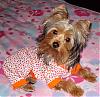 ~~~~~ .pajama Party. !!! ~~~~~~~-jamies-010507.jpg