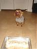 Biggie's 3rd Birthday!-dsc06463-vi.jpg