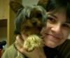 you and yorkie :D-16.jpg