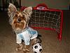 A Goalkeeper for the YT Soccer Team!!!!!-soccer-3.jpg