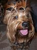 Let's see your tongue pictures!-cimg2877.jpg