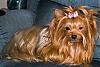 new pictures of Gypsy-img_0424_edited-2.jpg