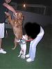 LETS SEE THOSE LITTLE DOGS with BIG DOGS !!-cimg2144.jpg