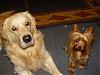 LETS SEE THOSE LITTLE DOGS with BIG DOGS !!-dixie-merlin.jpg