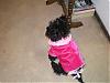 Tinkerbelle's Pretty New Coat-winter-coat-002-1.jpg