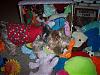 Hallie VS. The Toy Box-100_5140.jpg