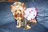 Little Maddie in her Nighty by Jodie...-pjytmaddie2.jpg