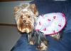 Little Maddie in her Nighty by Jodie...-pjytmaddie3.jpg