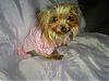 Gwen's before and after pics-gwen-003.jpg