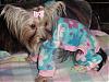 Destiny all comfy in her pj's!!-destiny-pjs-01.jpg