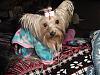Destiny all comfy in her pj's!!-destinys-pjs-02.jpg