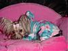 Destiny all comfy in her pj's!!-destinys-pjs-03.jpg