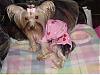 Destiny all comfy in her pj's!!-destiny-pink-outfit-1.jpg